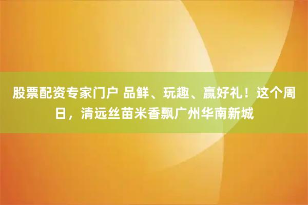 股票配资专家门户 品鲜、玩趣、赢好礼！这个周日，清远丝苗米香飘广州华南新城