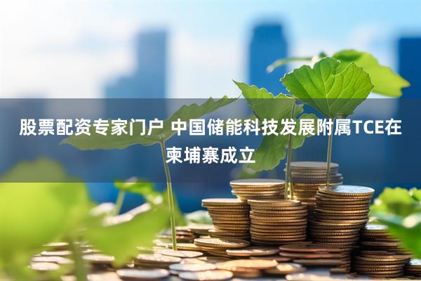 股票配资专家门户 中国储能科技发展附属TCE在柬埔寨成立